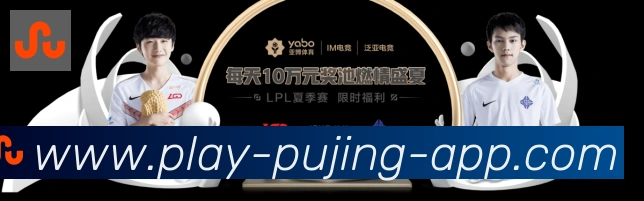 未来规划